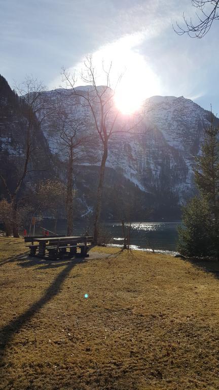 Seeblick Krippenstein Obertraun Exterior foto